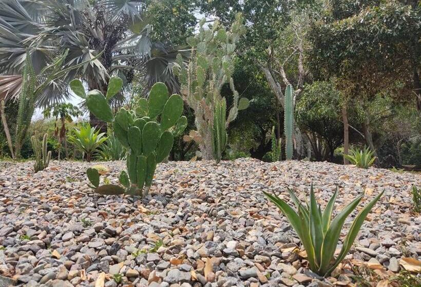 ホテル Arizona Ranch