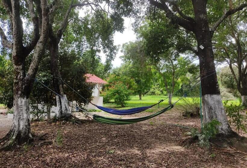 ホテル Arizona Ranch