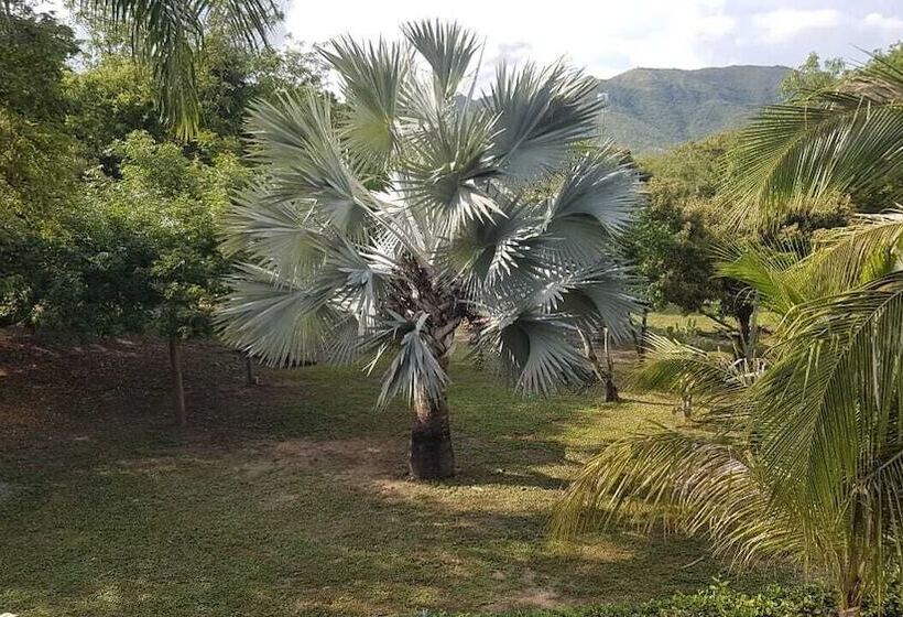 ホテル Arizona Ranch