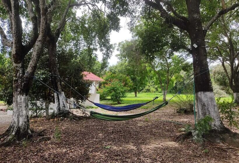 ホテル Arizona Ranch