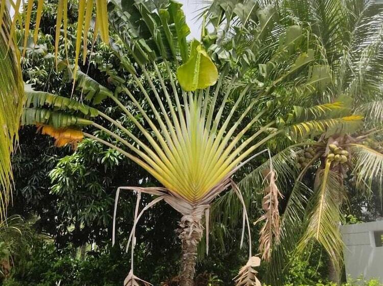 ホテル Arizona Ranch