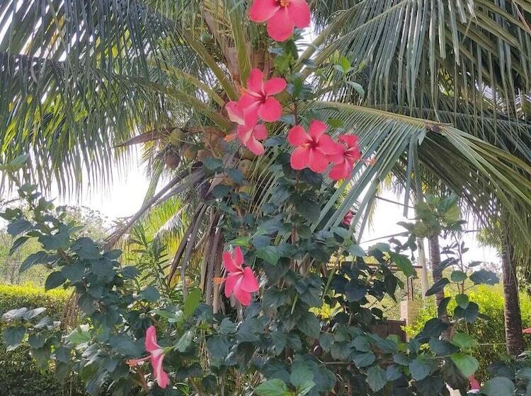 ホテル Arizona Ranch