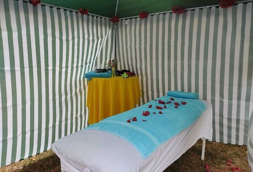 ホテル Arizona Ranch