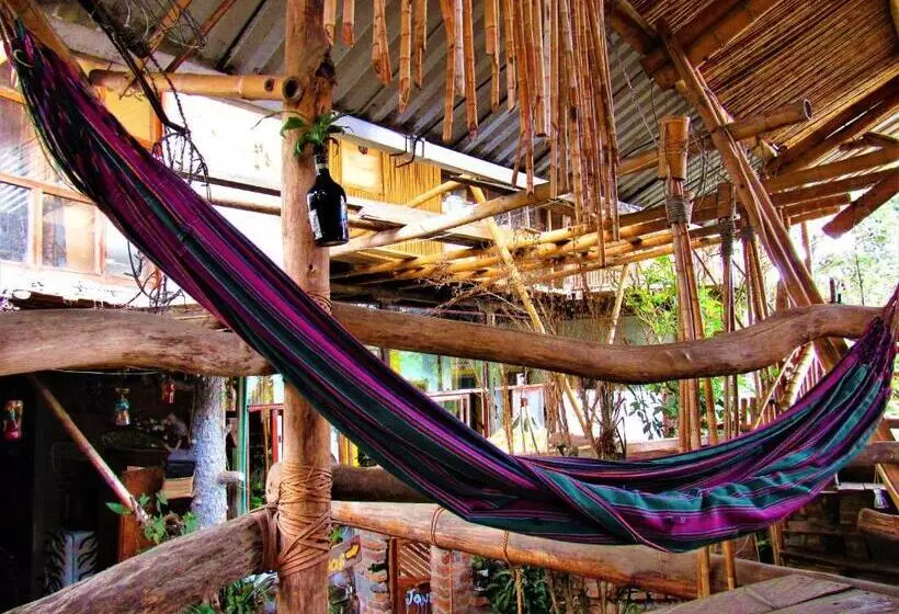 ホテル Casa Tarzan
