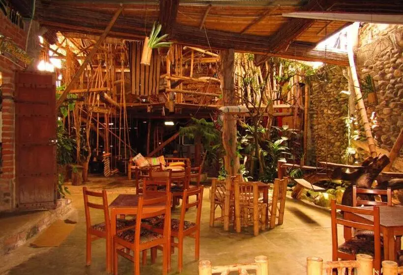 ホテル Casa Tarzan