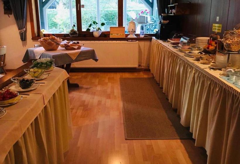 فندق Pension Erna