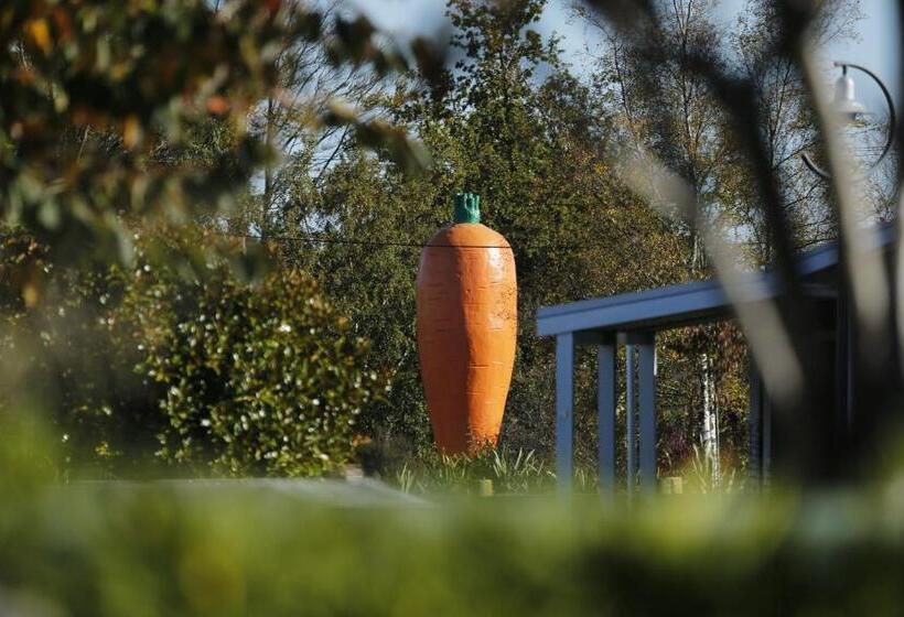 هتل Rocky Mountain Chalets Ohakune
