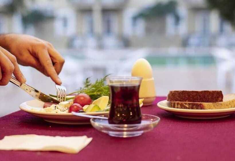 בית מלון כפרי Samdan Thermal