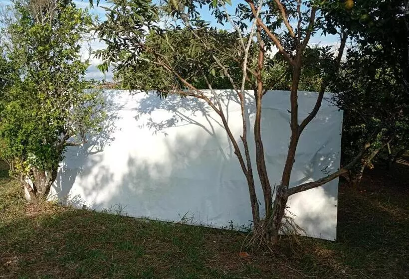 La Pacha Hostel