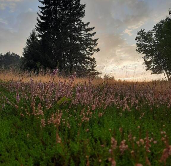 ベッドアンドブレックファースト Au Cœur Des Lacs Chambres D Hôtes