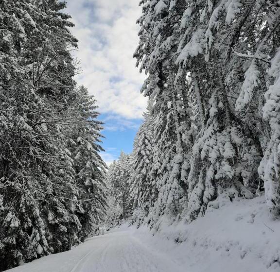 ベッドアンドブレックファースト Au Cœur Des Lacs Chambres D Hôtes