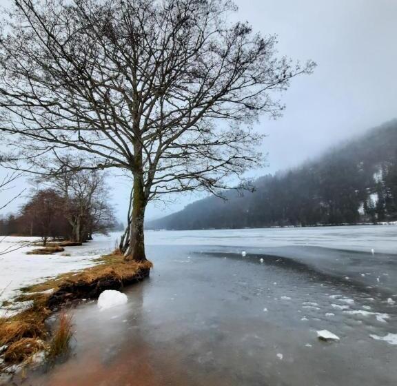 ベッドアンドブレックファースト Au Cœur Des Lacs Chambres D Hôtes