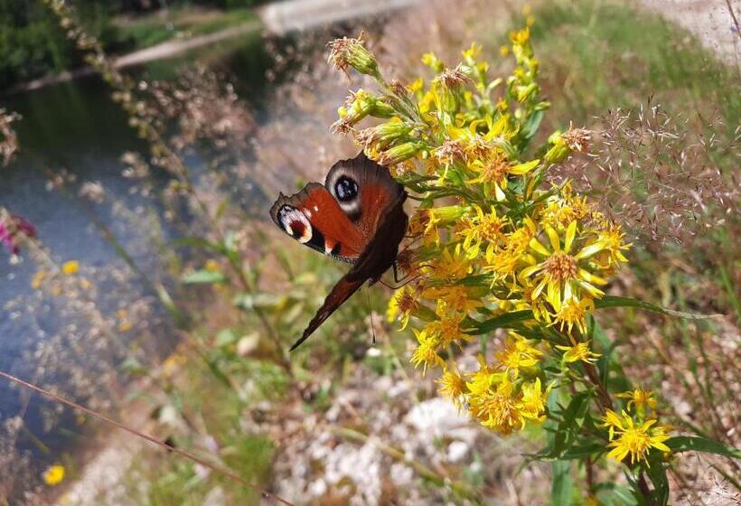 ベッドアンドブレックファースト Au Cœur Des Lacs Chambres D Hôtes