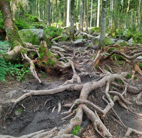 ベッドアンドブレックファースト Au Cœur Des Lacs Chambres D Hôtes