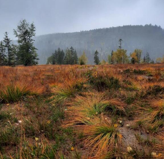 ベッドアンドブレックファースト Au Cœur Des Lacs Chambres D Hôtes