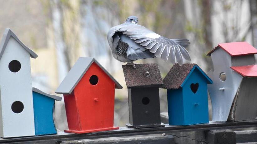 住宿加早餐  Chambre D Hôtes Le Cadran Des Chauvelles