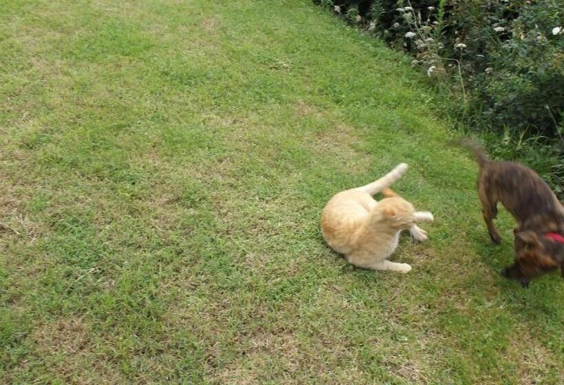 ベッドアンドブレックファースト Chambres D Hôtes Le Belvédère