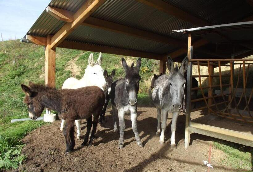 ベッドアンドブレックファースト Chambres D Hôtes Le Belvédère