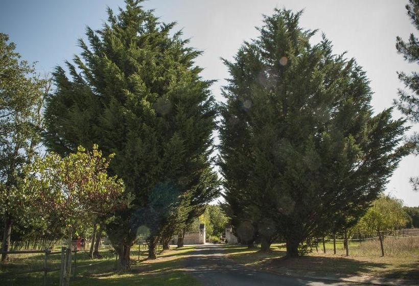 مبيت وإفطار Chambres D Hôtes Les Bournais   Le Clos Milady