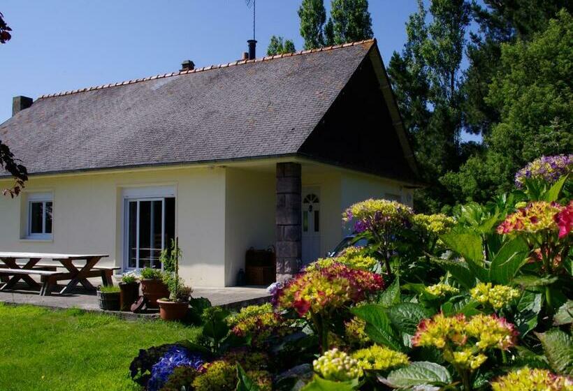 Bed and Breakfast Châtelet Camelot