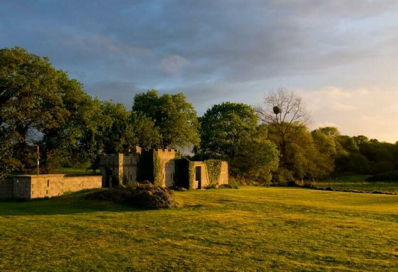 Bed and Breakfast Châtelet Camelot