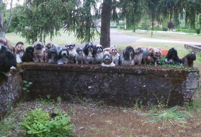 בית מלון כפרי Du Parc