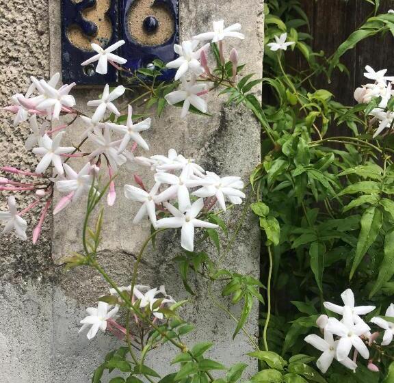 Repos à Ribérac B&b