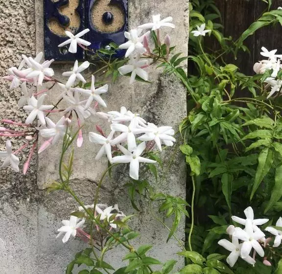 Repos à Ribérac B&b