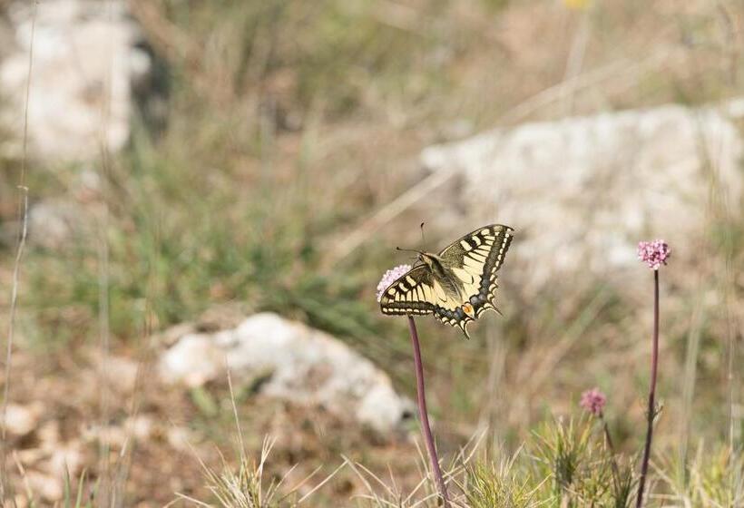 مبيت وإفطار Auberge De La Fontaine