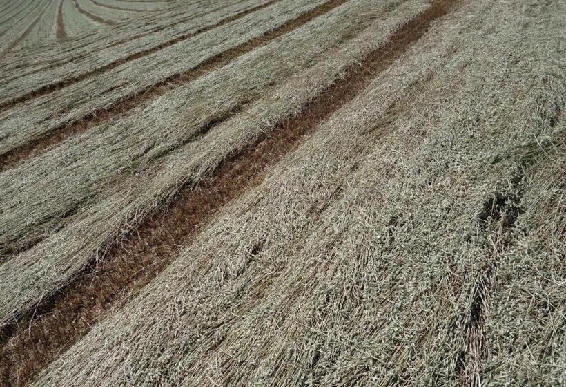 مبيت وإفطار Auberge De La Fontaine