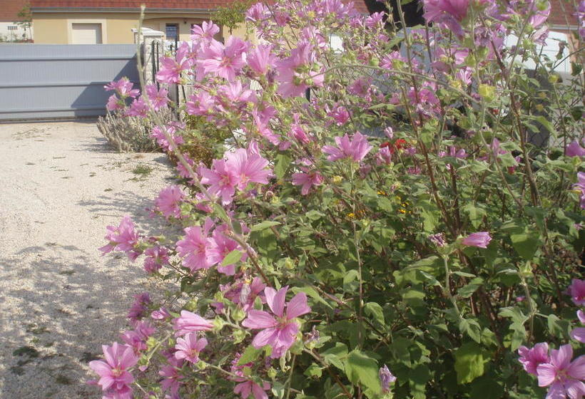 Bed and Breakfast Chambre D'hôte De La Belle Jardinière
