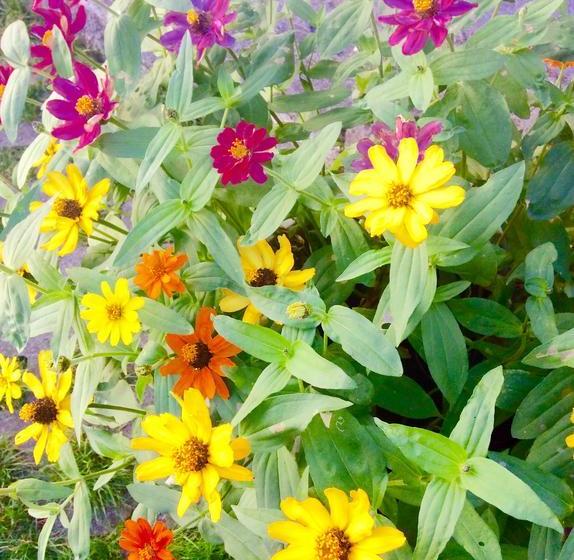 ベッドアンドブレックファースト Chambres D Hôtes De La Fontaine