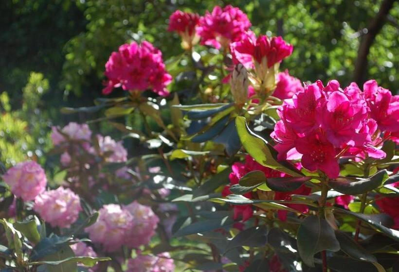 تختخواب و صبحانه Chambres D Hôtes La Parenthez