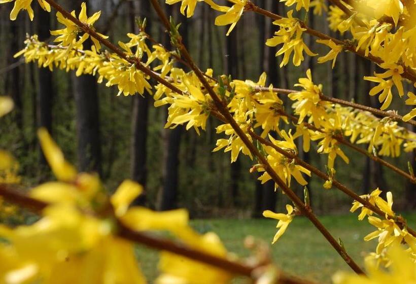 تختخواب و صبحانه Chambres D Hôtes La Parenthez