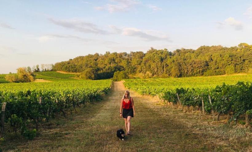 Bed and Breakfast Chambres D'hôtes Noailles