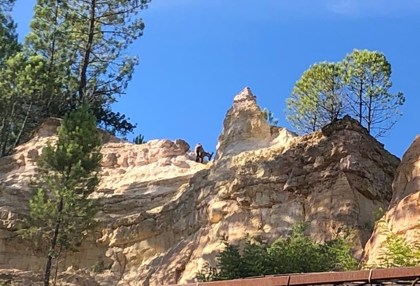 ベッドアンドブレックファースト La Cour Carrée