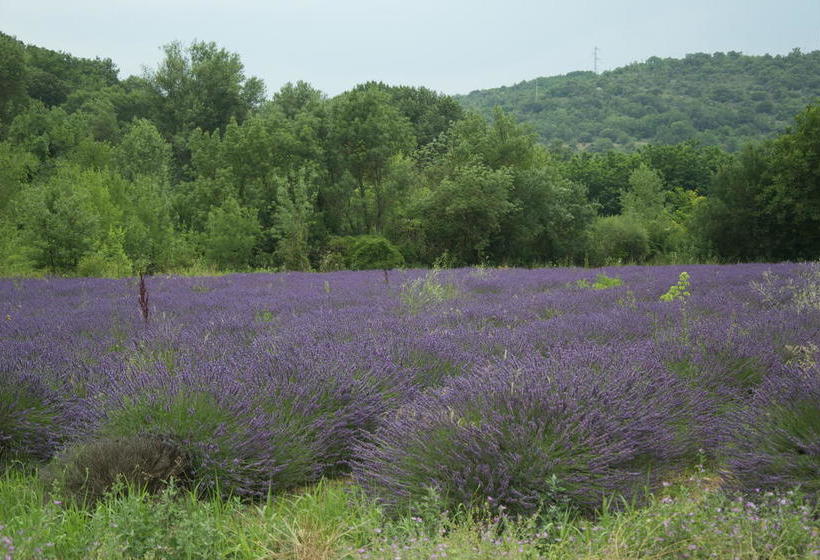住宿加早餐 La Fénière