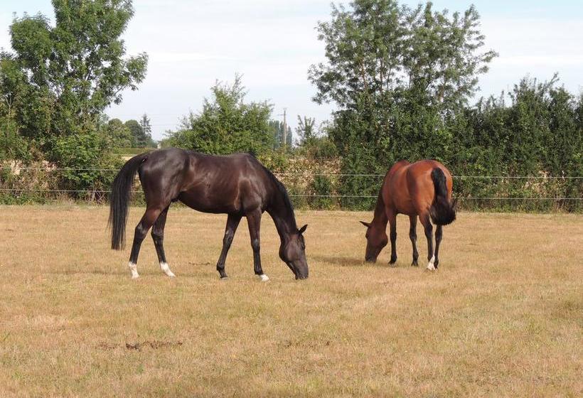 צימר La Jarillais