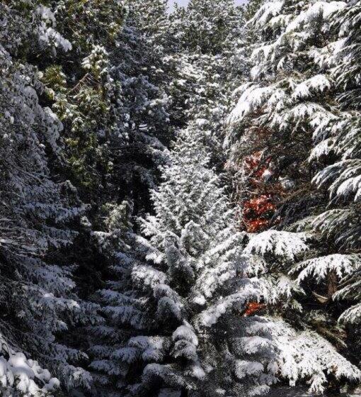 住宿加早餐  La Source