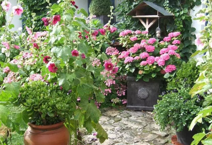 Aamiaismajoitus (B&B) Les Glycines