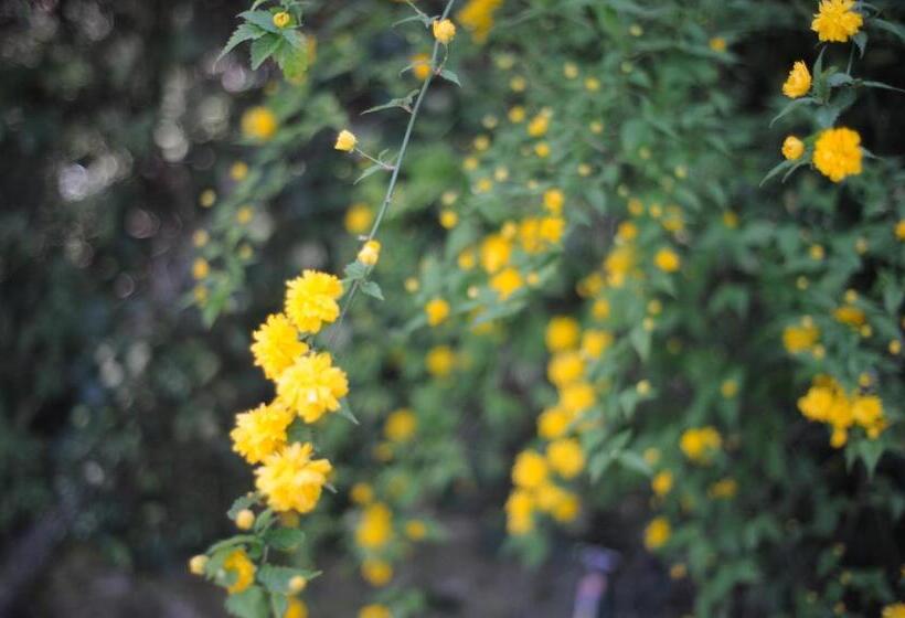 مبيت وإفطار Maison Le Retour