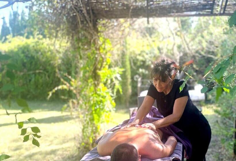 Bed and Breakfast Mas Des Marguerites