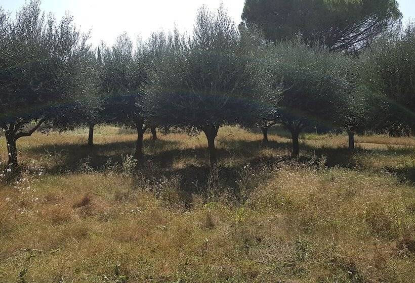 تختخواب و صبحانه Mas Du Caroubier Maison D Hotes