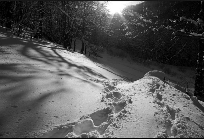 Отель Aux 500 Diables Eco Lodge