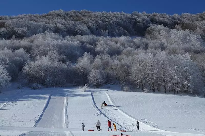 Hotelli Coeur Des Montagnes