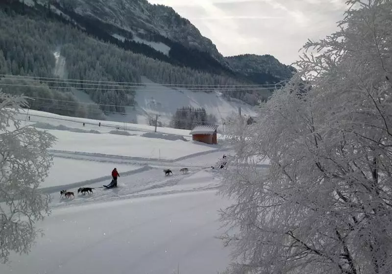 Hotelli Coeur Des Montagnes