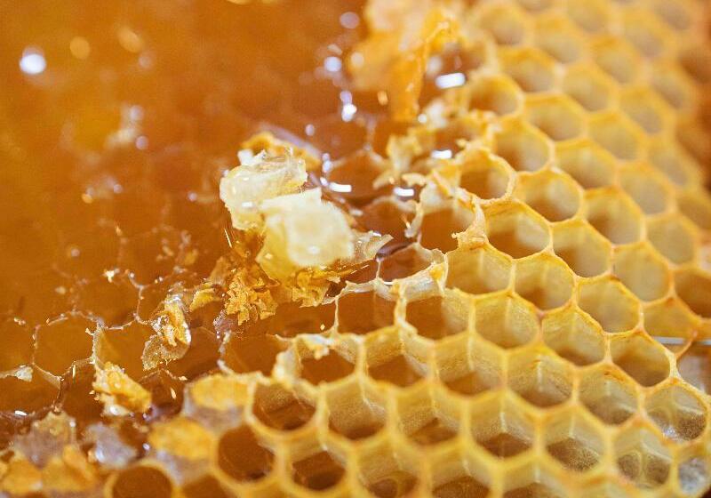 酒店 F1 Salon De Provence