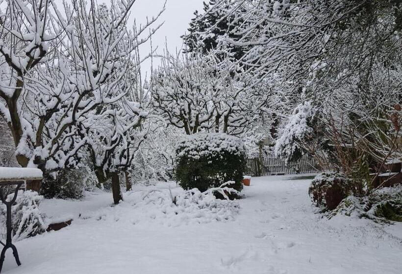 تختخواب و صبحانه Au Troubadour