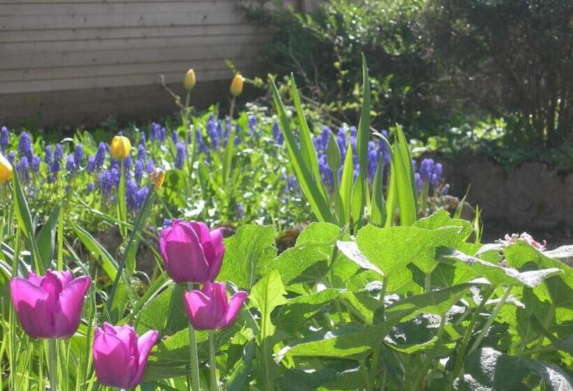 مبيت وإفطار Chambres D'hôtes Les Charmettes