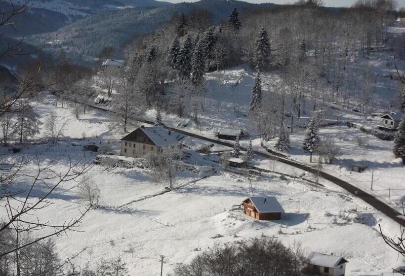 تختخواب و صبحانه La Ferme Du Vieux Sapin